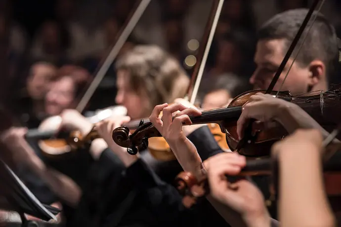 Student String Instruments