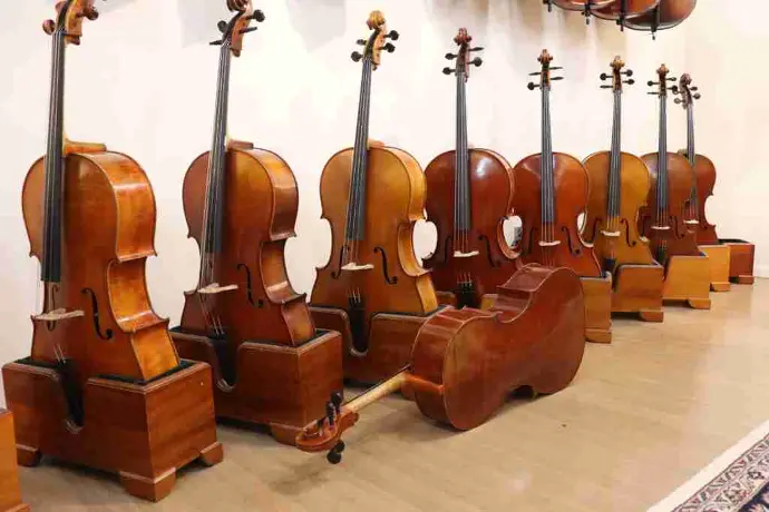 Violin Instrument for Sale