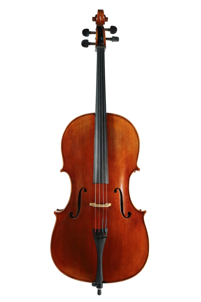 A Cello Modeled After Giovanni Battista Guadagnini, 1777, by Vivo USA, 2024