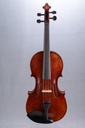 Vivo Zetoni 200 Model Viola, 2021-15"