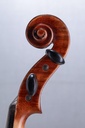 Vivo Zetoni 200 Model Viola, 2021-15"