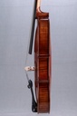 Vivo Zetoni 200 Model Viola, 2021-15"
