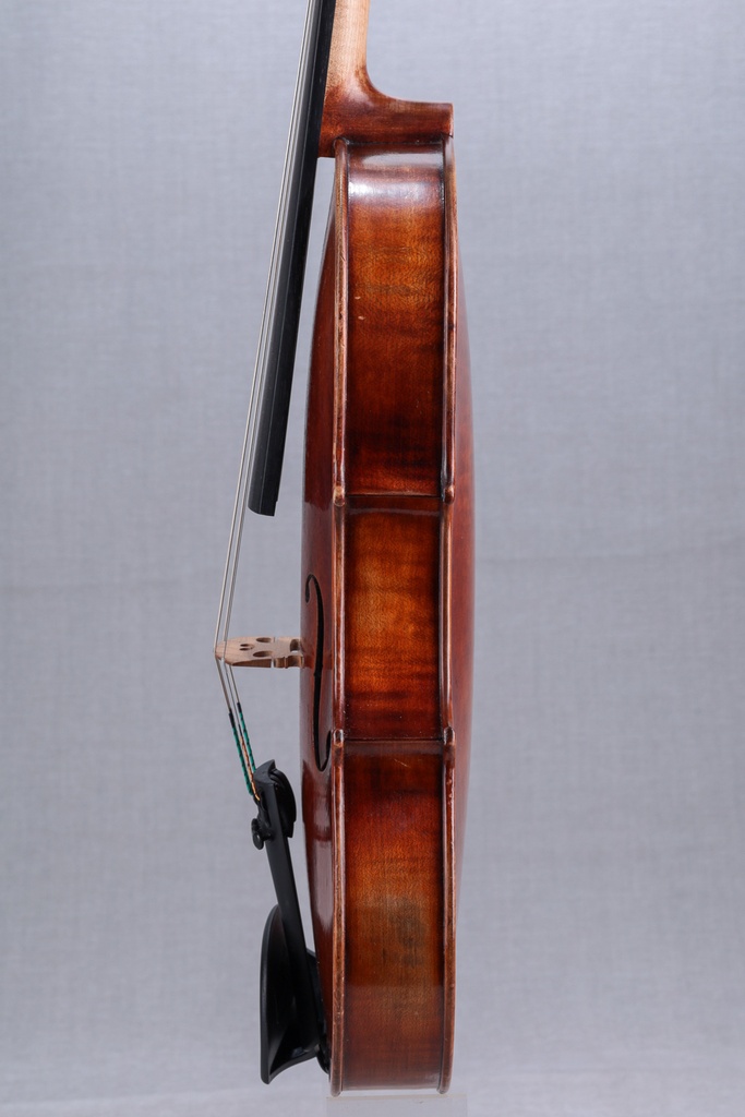 Modelo Italiano** Viola - 14"