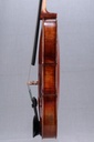 Modelo Italiano** Viola - 14"