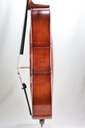 Modelo Italiano* Cello - 3/4 Size
