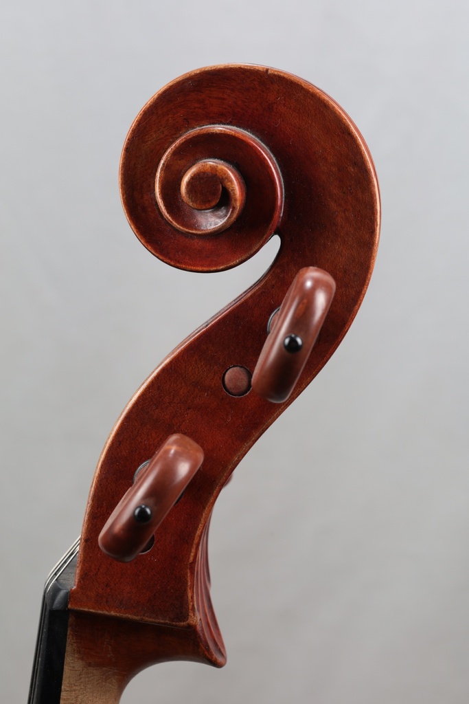 Modelo Italiano* Cello - 3/4 Size