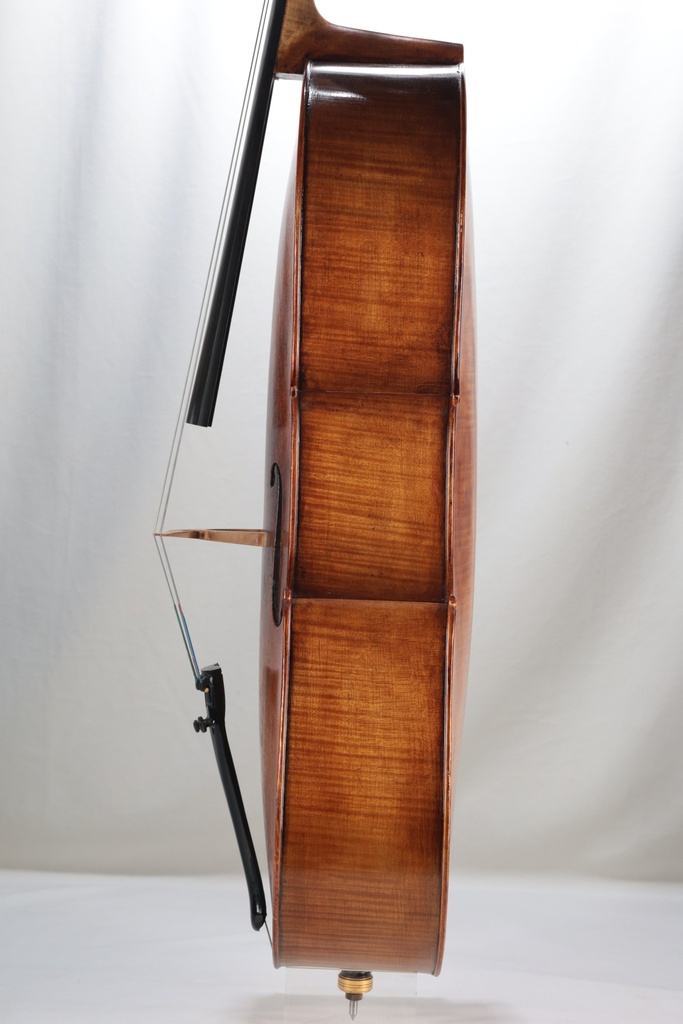 Cello by Samuel A. Payton, Philadelphia, 2010-4/4