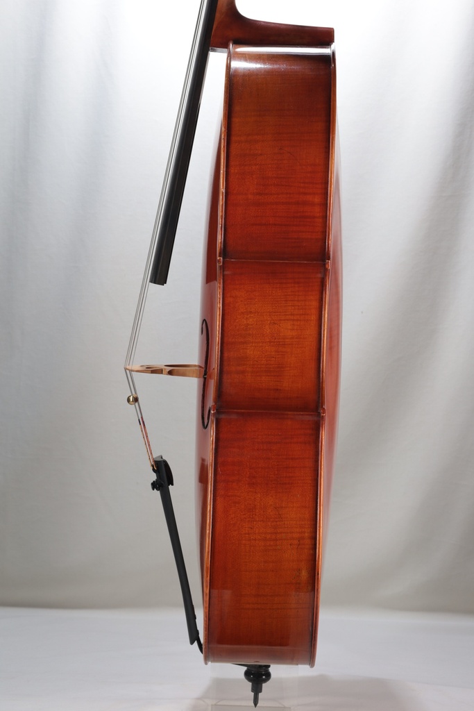 Pietro Lombardi Cello