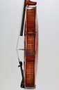 Vivo Zetoni 200 Model Viola, 2021-15"