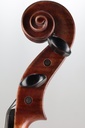 Vivo Zetoni 200 Model Viola, 2021-15"