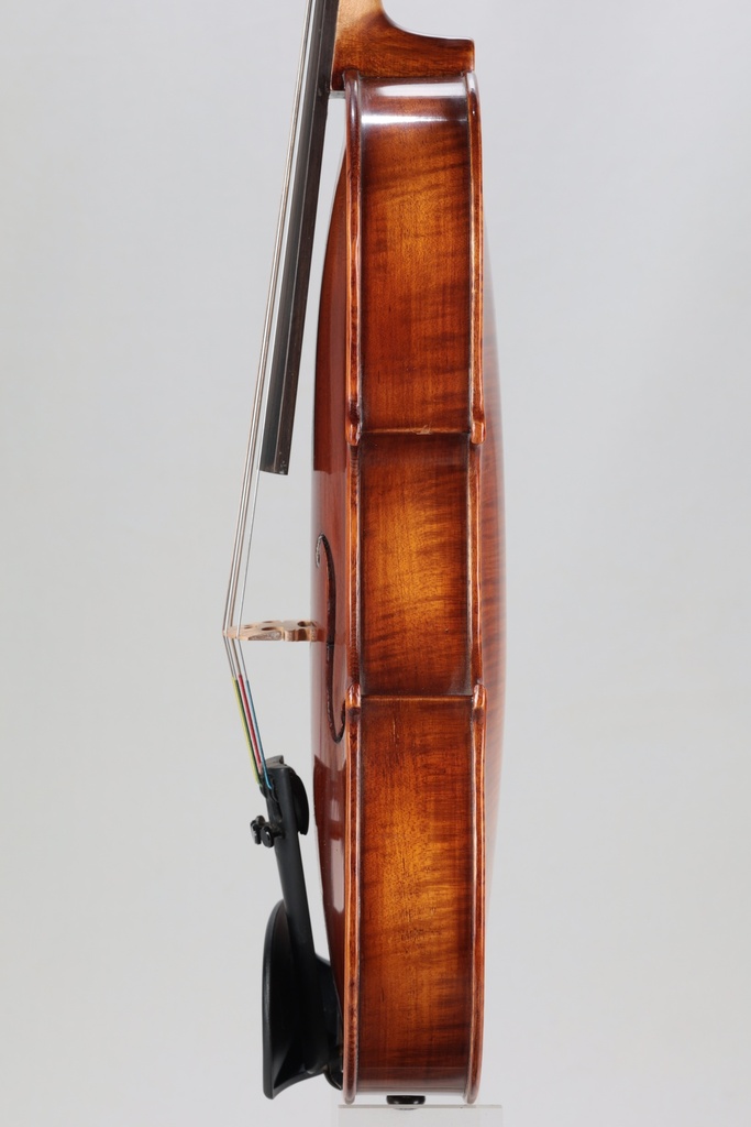 Vintage Paolo Lorenzo Viola, Made in 2006 - 13"