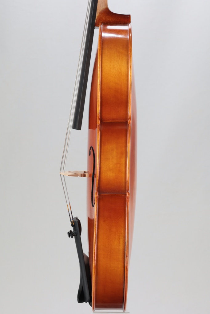 Eastman Viola-16.5" STD