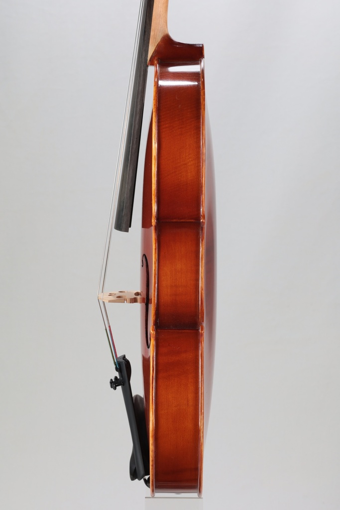 Eastman Viola-15.5" STD