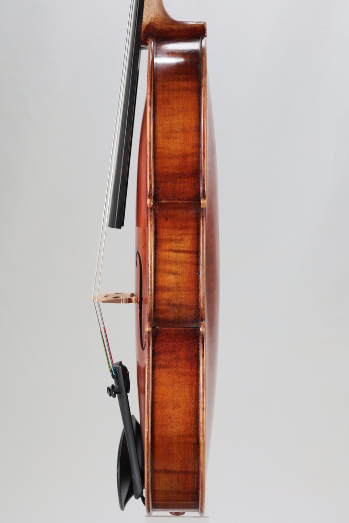 Modelo Italiano* Viola, 2015- 15 1/2"