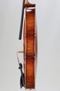 Modelo Italiano* Viola, 2015- 15 1/2"