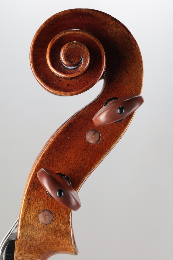 Modelo Italiano* Viola, 2015- 15 1/2"