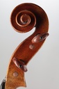 Modelo Italiano* Viola, 2015- 15 1/2"