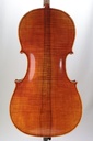 Novizio Advanced Student Cello Model 521, 2020- 4/4