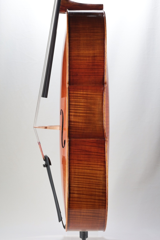 Novizio Advanced Student Cello Model 521, 2020- 4/4