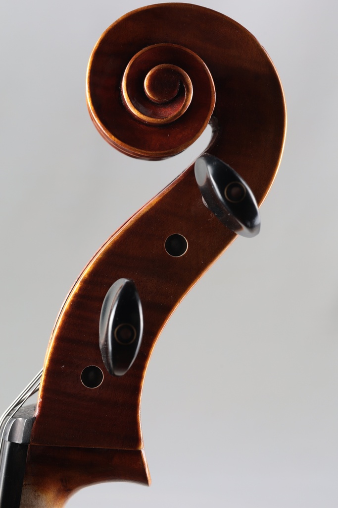 Novizio Advanced Student Cello Model 521, 2020- 4/4
