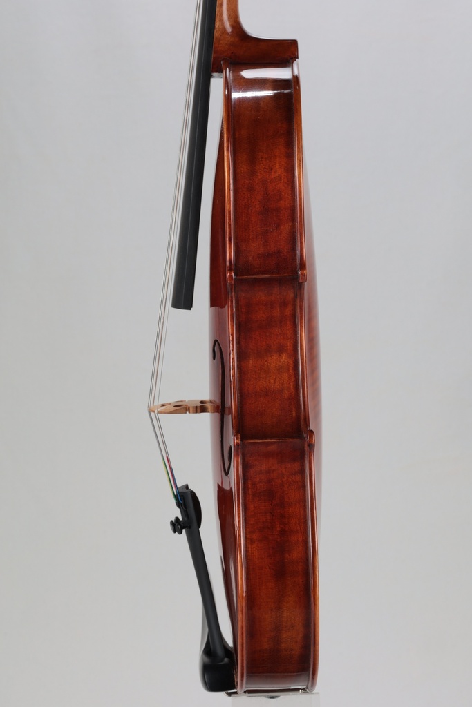 Revelle Model 730 Viola, 2025- 15"