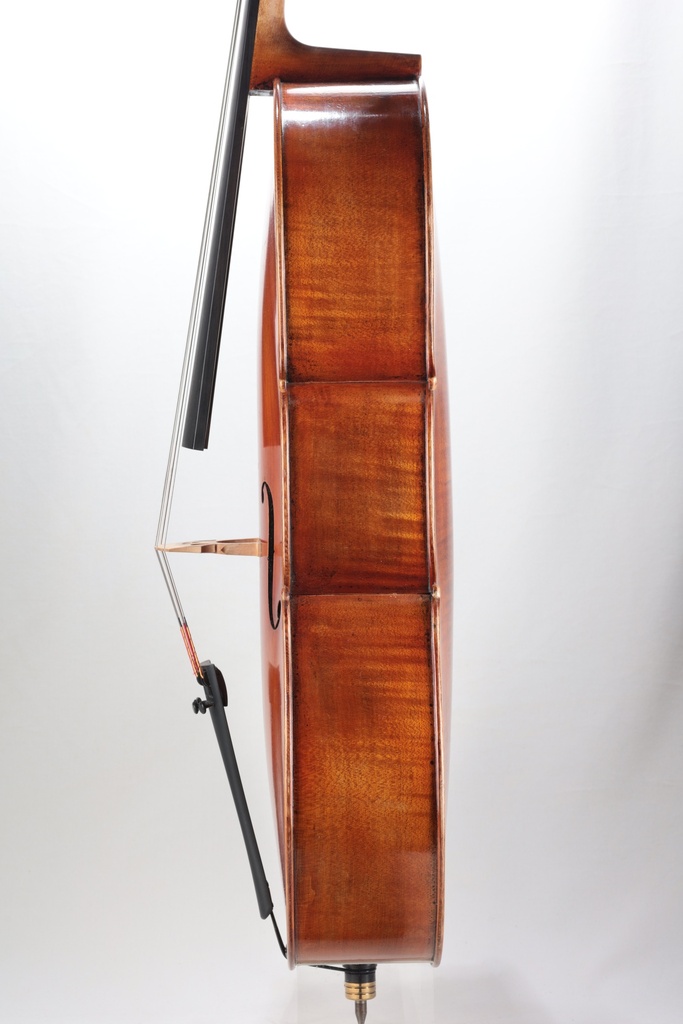 Modelo Italiano* Cello, 2016-3/4