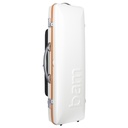 Bam GRAFFITI Hightech Oblong Violin Case with back pocket