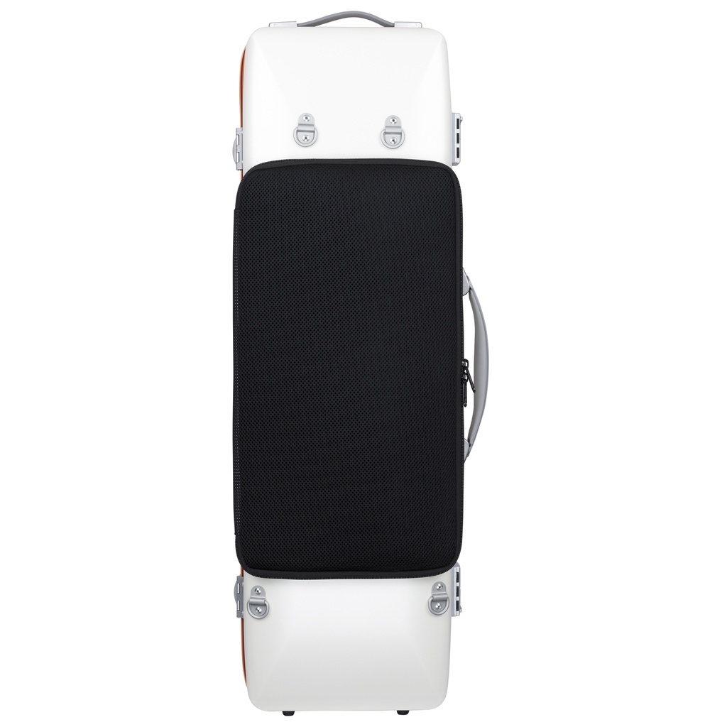 Bam GRAFFITI Hightech Oblong Violin Case with back pocket