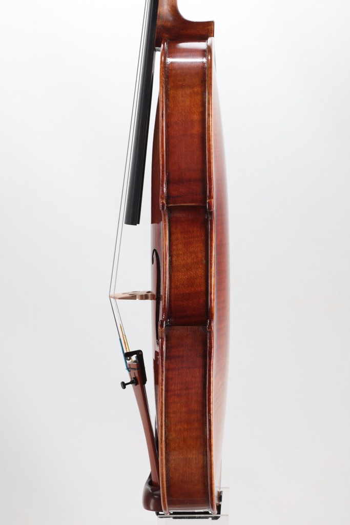 Peter Kauffman Violin, 2024-4/4 