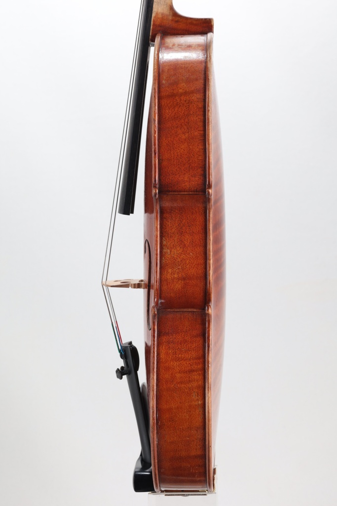 Modelo Italiano* Viola, 2016-14"