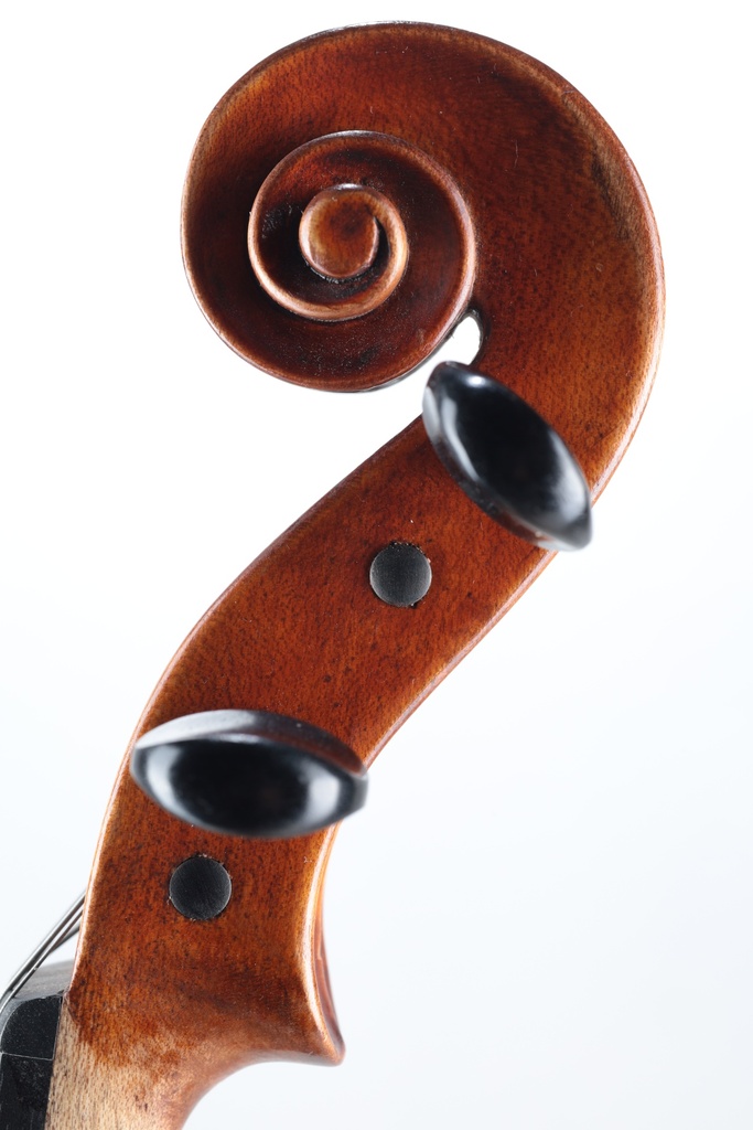 Modelo Italiano* Viola, 2016-14"
