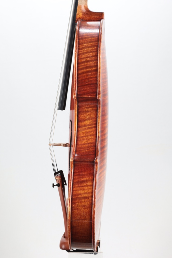 Sandro Luciano Violin, 2019- 4/4
