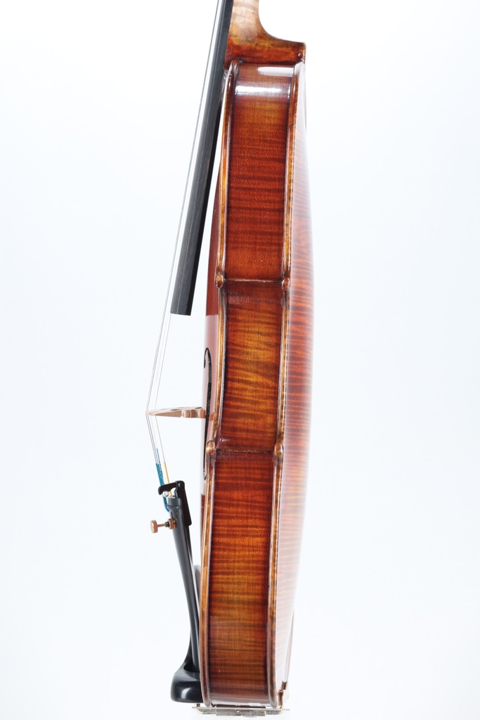 Paolo Lorenzo Violin, 2025-4/4