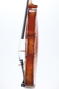 Paolo Lorenzo Violin, 2025-4/4
