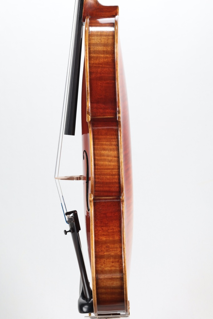 Paolo Lorenzo Violin, 2025-4/4