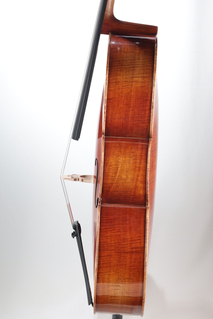 Paolo Lorenzo Cello, 4/4