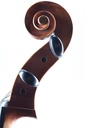 Paolo Lorenzo Cello, 4/4