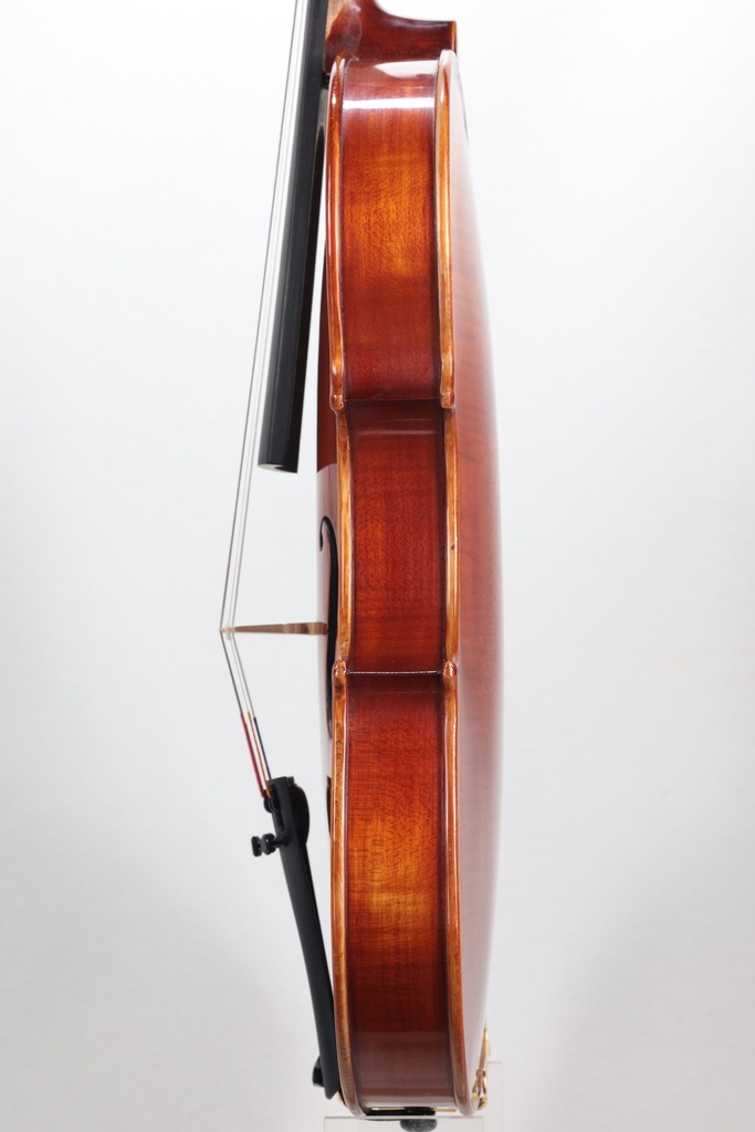 Gewa Sonata Europa Violin, Made in Europe, 4/4