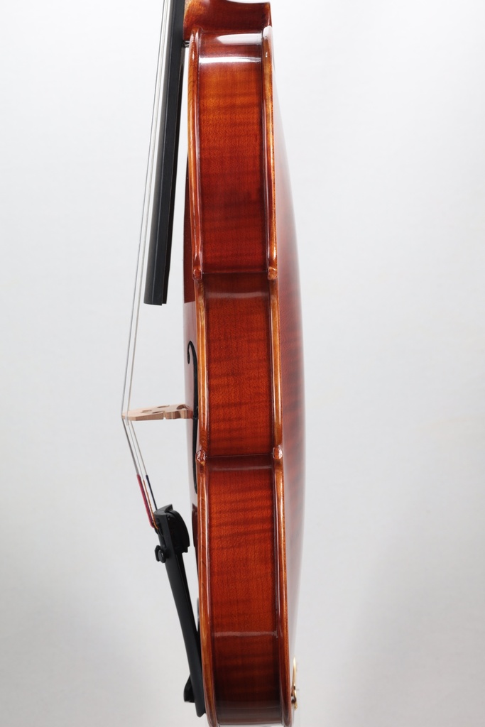 Gewa Sonata Europa Violin, Made in Europe, 4/4