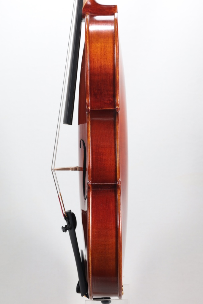 Gewa Sonata Europa Violin, Made in Europe, 4/4