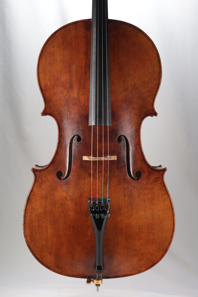 Cello by Samuel A. Payton, Philadelphia, 2010-4/4