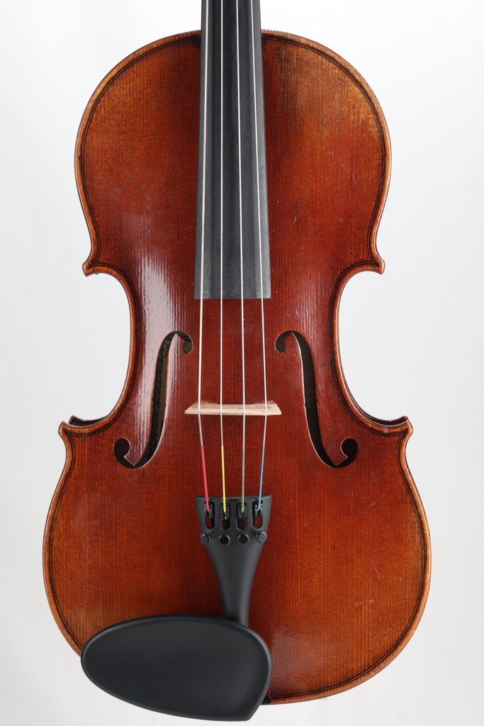 Modelo Italiano* Viola, Zetoni Model, 2016-15"