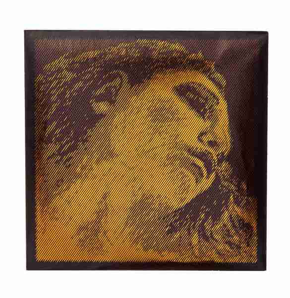 Evah Pirazzi Gold Violin Set w/ Gold G