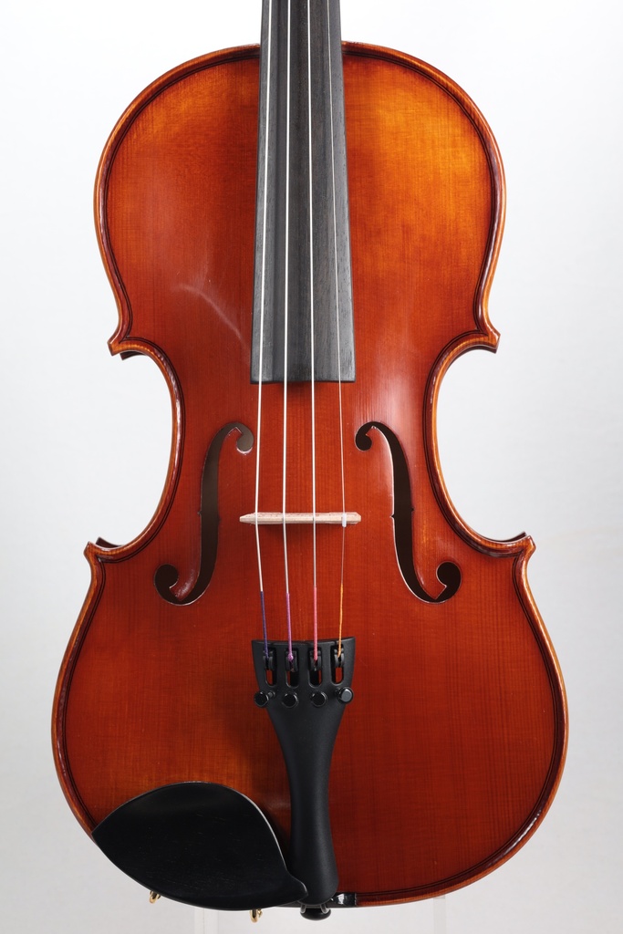 Gewa Sonata Europa Violin, Made in Europe, 4/4