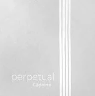 Perpetual Violin G String