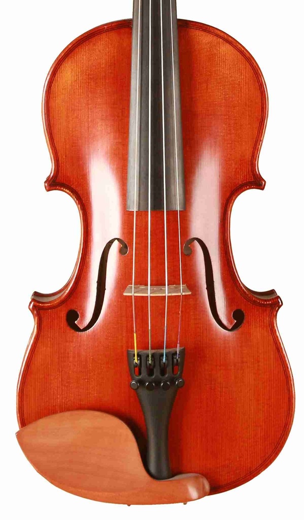 Peter Kauffman Violin