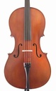Vivo Cello, Zetoni 200 Model - 7/8 Size