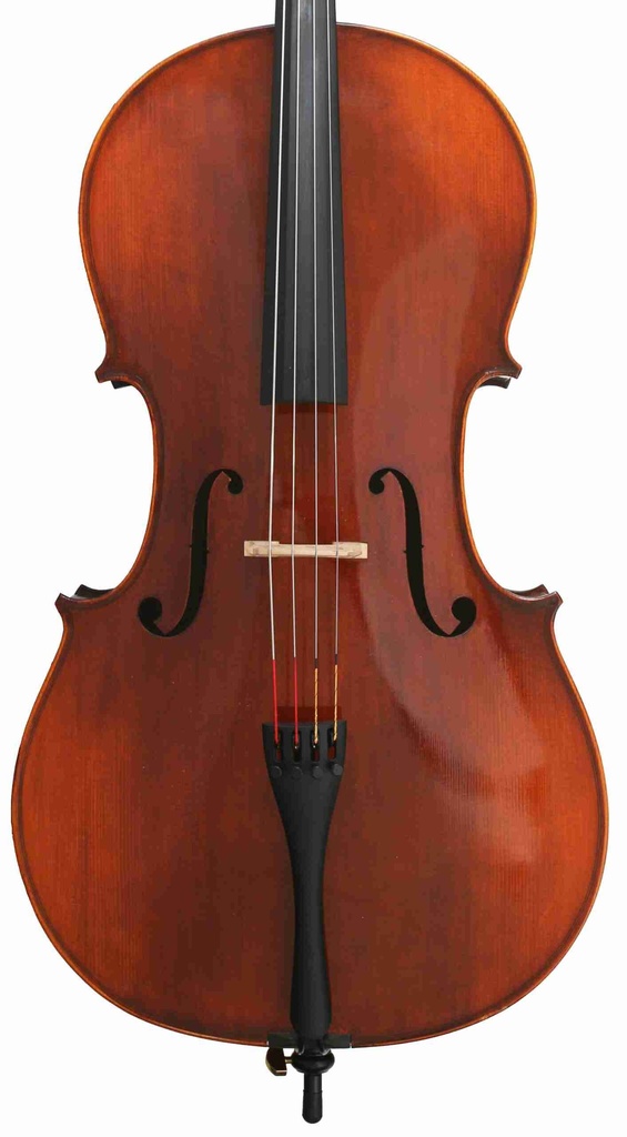 Electro Acoustic Eastman 305 Cello