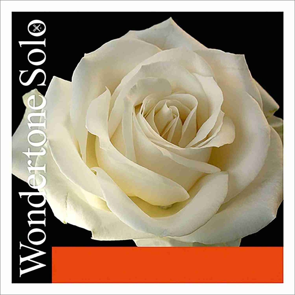 Wondertone Solo Violin G String, Silver, 4/4 Size