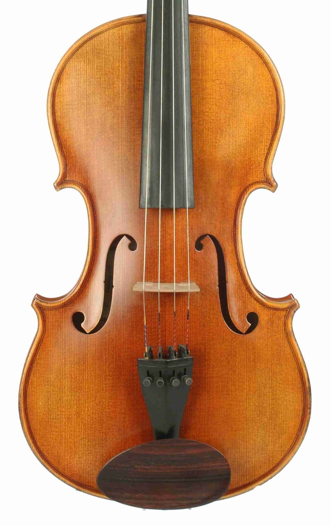Franz Werner Concert Viola, Model S901 - 16"